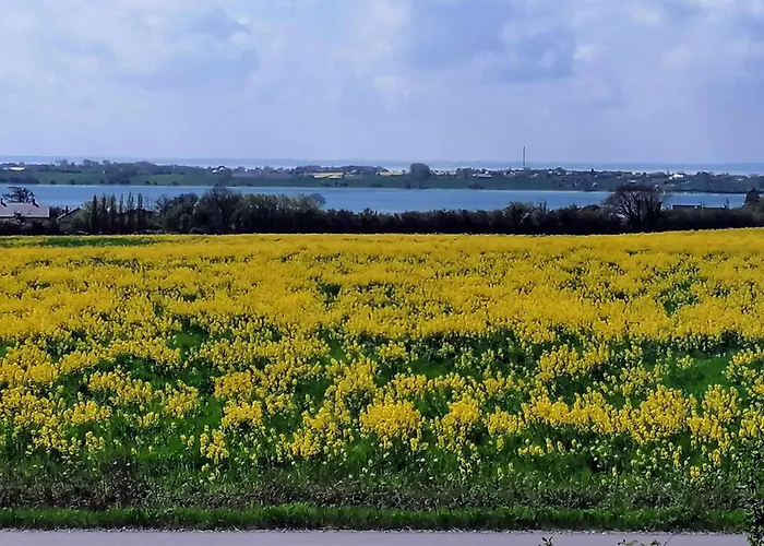 Apartment With Sea View Near The